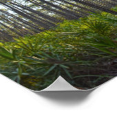 Muschel Mound Park Trail, Dauphin Island, Al Poster (Ecke)