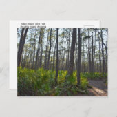 Muschel Mound Park Trail, Dauphin Island, AL Postkarte (Vorne/Hinten)