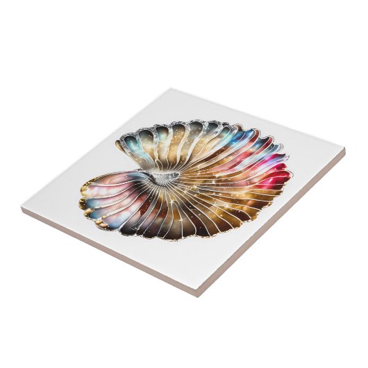 Muschel Nautilus beachte Perlmutter Fliese (Seite)