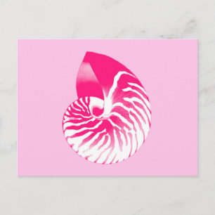 Muschel Nautilus - fuchsienrosa und weiß Postkarte