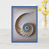 Muschel Nautilus Karte (Gelbe Blume)