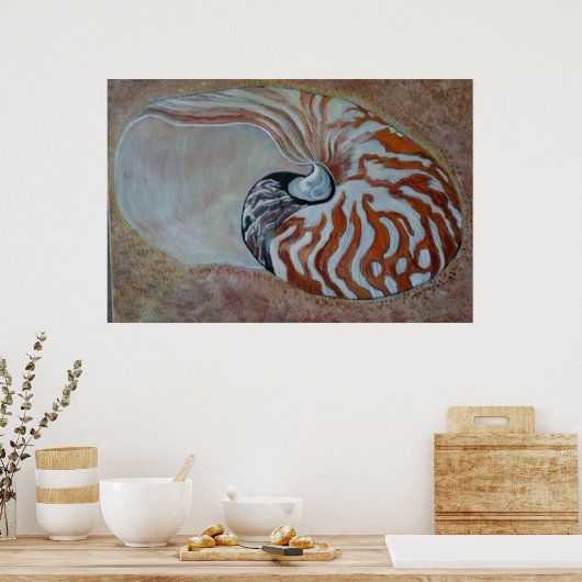 Muschel nautilus poster (Küche)