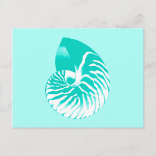 Muschel Nautilus - Türkis, Aqua und Weiß Postkarte