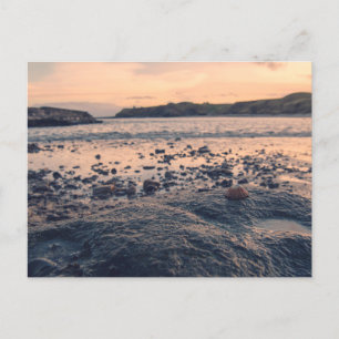 Muschel Nordsee Postkarte