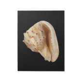 Muschel-Notepad anschließen Notizblock (Rotiert)