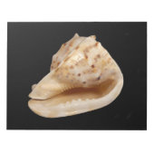 Muschel-Notepad anschließen Notizblock (Vorderseite)