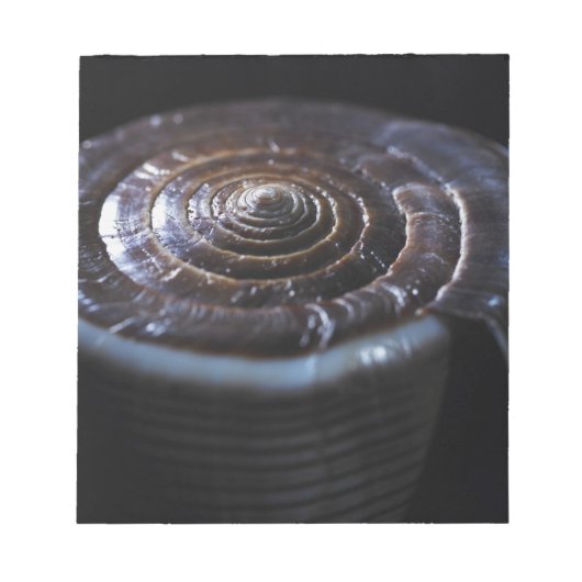 Muschel Notizblock (Vorderseite)