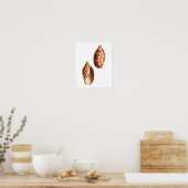 Muschel Nr.5 Stranddekoration Kunst, Dichtung und Poster (Küche)