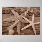 Muschel Poster (Vorne)