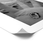 Muschel Poster (Ecke)