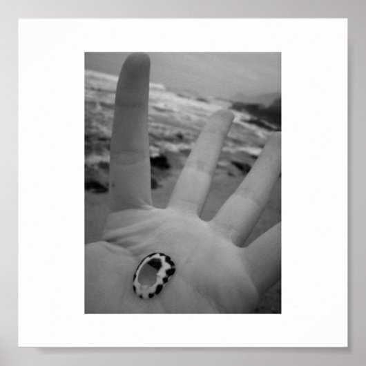 Muschel Poster (Vorne)