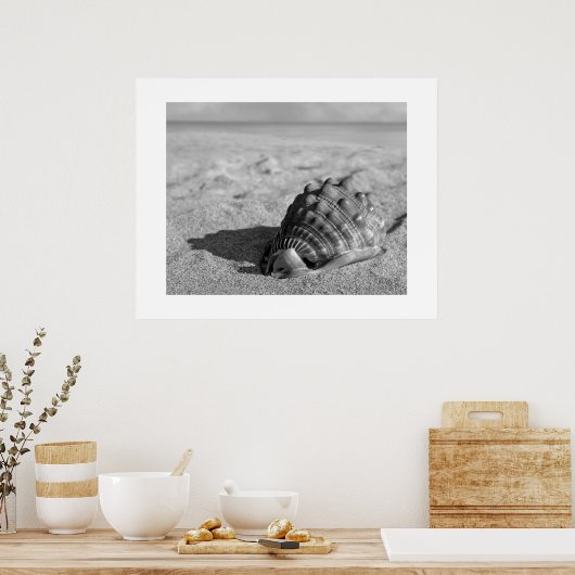 Muschel Poster (Küche)