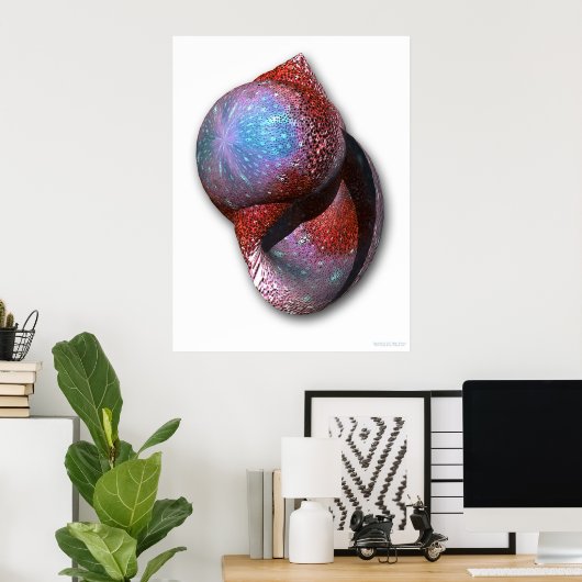 Muschel Poster (Heimbüro)