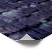 Muschel Poster (Ecke)