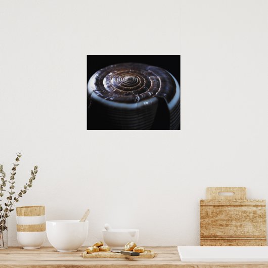 Muschel Poster (Küche)