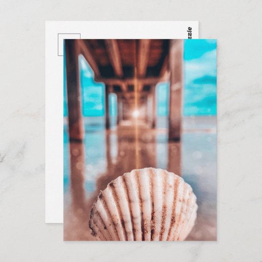 Muschel Postkarte (Vorne/Hinten)