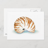 Muschel Postkarte (Vorne/Hinten)