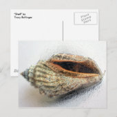 Muschel Postkarte (Vorne/Hinten)