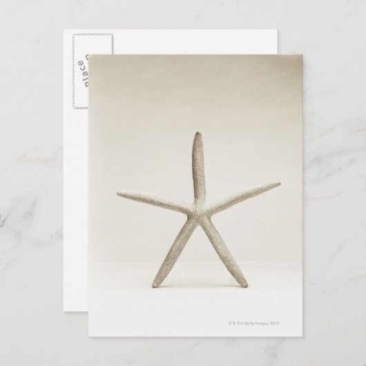 Muschel Postkarte (Vorne/Hinten)