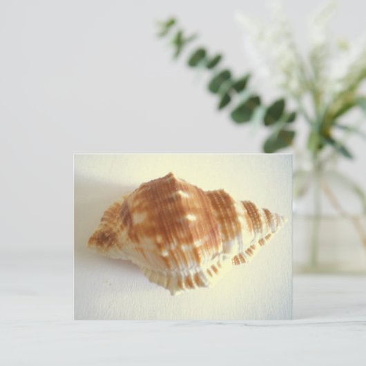 Muschel Postkarte (Stehend Vorderseite)
