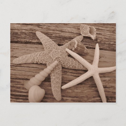 Muschel Postkarte (Vorderseite)