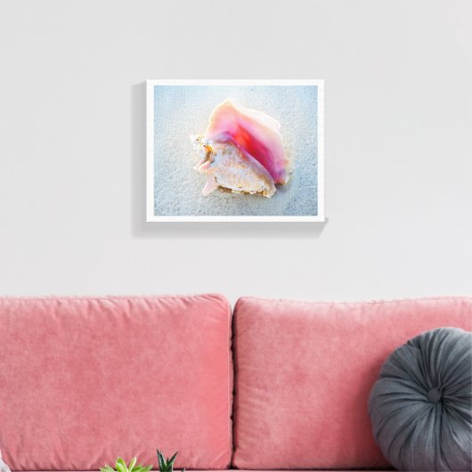 Muschel Queen Conch am Strand von Bahamas Leinwanddruck (Insitu (Wohnzimmer))