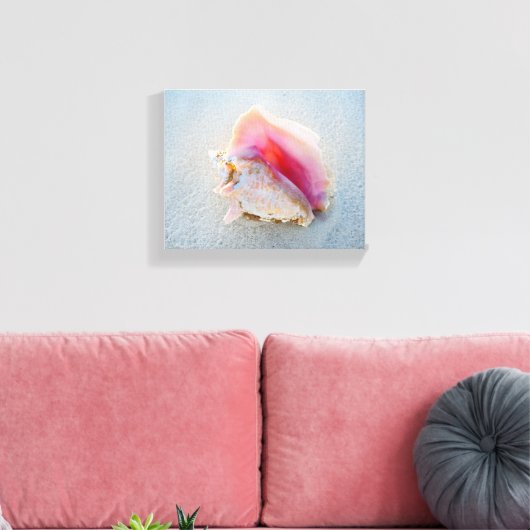 Muschel Queen Conch am Strand von Bahamas Leinwanddruck (Insitu (Wohnzimmer))