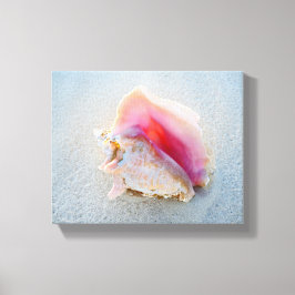 Muschel Queen Conch am Strand von Bahamas Leinwanddruck