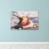 Muschel Rosa Conch Leinwanddruck (Insitu (Holzboden))