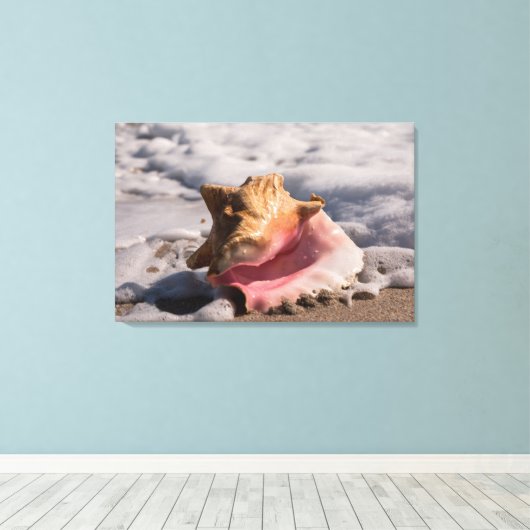 Muschel Rosa Conch Leinwanddruck (Insitu (Holzboden))