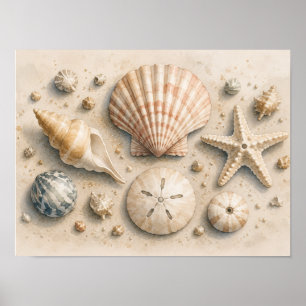 Muschel-Sammlung Poster   Wasserfarbe Küste