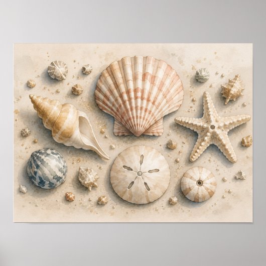Muschel-Sammlung Poster | Wasserfarbe Küste (Vorne)