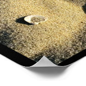 Muschel Sand and Shadows Poster (Ecke)