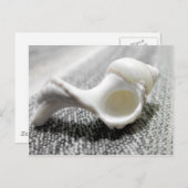 Muschel Schwarz-Weiß-Strand Foto Postkarte (Vorne/Hinten)