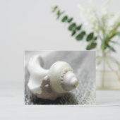 Muschel Schwarz-Weiß-Strand Foto Postkarte (Stehend Vorderseite)