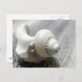 Muschel Schwarz-Weiß-Strand Foto Postkarte (Vorne/Hinten)