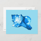 Muschel-Skizze - Kobalt und Himmelblau Postkarte (Vorne/Hinten)