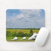 Muschel Skulptur Mousepad (Mit Mouse)