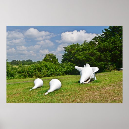 Muschel-Skulptur-Poster Poster (Vorne)