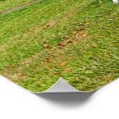 Muschel-Skulptur-Poster Poster (Ecke)