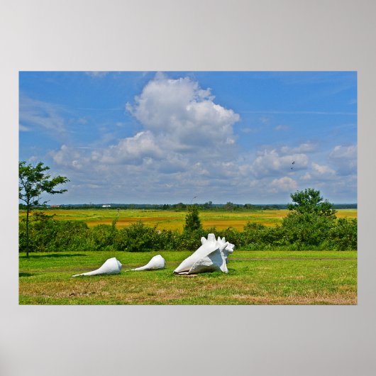Muschel-Skulptur-Poster Poster (Vorne)