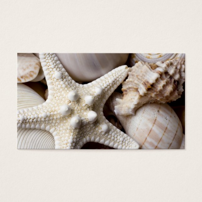 Muschel Starfish Hintergrund - Beach Muscheln (Vorderseite)