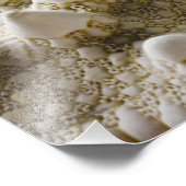 Muschel Starfish Hintergrund - Beach Muscheln Fotodruck (Ecke)