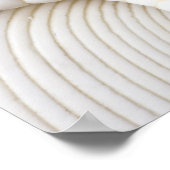 Muschel Starfish Hintergrund - Beach Muscheln Poster (Ecke)