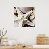 Muschel Starfish Hintergrund - Beach Muscheln Poster (Küche)