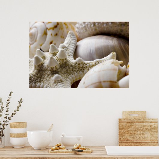 Muschel Starfish Hintergrund - Beach Muscheln Poster (Küche)