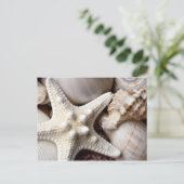 Muschel Starfish Hintergrund - Beach Muscheln Postkarte (Stehend Vorderseite)