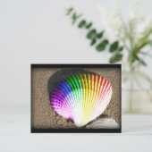 Muschel Stolz Postkarte (Stehend Vorderseite)