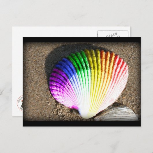 Muschel Stolz Postkarte (Vorne/Hinten)