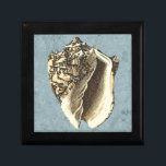 Muschel Stonewash Conch Erinnerungskiste<br><div class="desc">Holen Sie sich dieses einzigartige stonengewaschene Muschelbild von Conch auf Ihr nächstes Produkt. Dieser phantastische,  blaue Hintergrund mit einem bräunlichen Conch wird auf allem gut aussehen. Nimm den Strand mit,  wohin du auch gehst.</div>